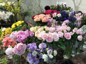 SMAPの『世界に一つだけの花』の歌詞を読み返してハッとした話。「深すぎる・・・」