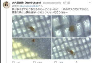 『アベノマスク』に関する手の込んだデマが判明・・・。これは流石に酷い。