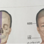 看護大学生が教科書のコピーを取ろうとしたら・・・思わぬ事態に腹筋崩壊(笑)