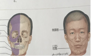 看護大学生が教科書のコピーを取ろうとしたら・・・思わぬ事態に腹筋崩壊（笑）