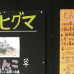 「人間に母親を殺されました」旭山動物園の動物紹介文が胸に突き刺さる・・・「素晴らしい取り組み」