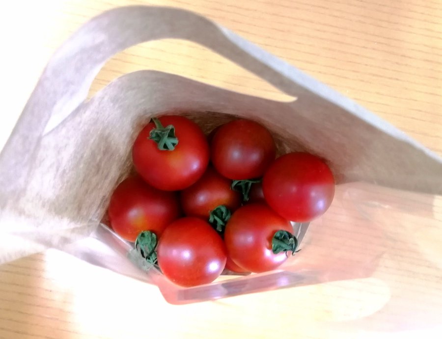トマト農家さんが注意喚起！夏のミニトマトはある事をしなければ雑菌が繁殖してしまいます！→覚えておきたい対策方法！