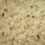 「米から虫がわいた」とクレームが。→これに対する国民消費者生活センターの回答に・・「スカッとした」「よく言った!」