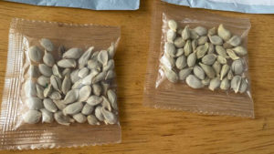 中国から送られてくる謎の種子。→その正体がコレらしい・・・「怖すぎる」