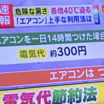 これをみたらもうエアコンの付けっぱなしで電気代が・・・なんて言えなくなる画像