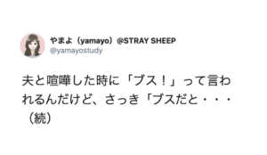 夫と喧嘩した時に「ブス！」と言われた奥さん。→切り返しが秀逸すぎた！