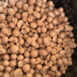 店員さんたちも大絶賛!セブンイレブンの『あの飲み物』がめちゃくちゃ美味しいらしい・・・