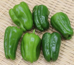 知っておくと絶対使う日が来るライフハック！ピーマンの種は『ある方法』で超簡単に取れる！