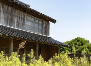 廃屋の庭になにやら人影が！恐る恐る正体を確認しに行くと・・・え？！