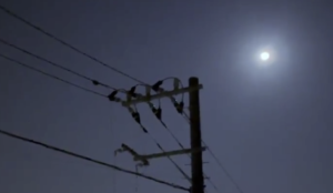 深夜３時ベランダで月を眺めていたら目の前をねこバスが・・・！→衝撃映像がこちら！