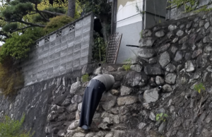 穴に頭を突っ込んでるおじさんがいるかと焦っていたら・・・え？！