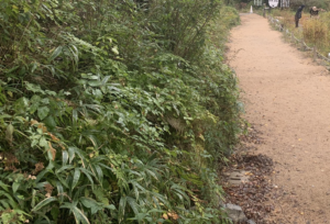 「昼間でもビビったのにこれ夜見たらチビるやろな…」と投稿された４枚の写真に絶句・・