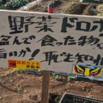 農作物をこんなに大胆に盗むなんて・・農家の悲痛の叫びを知って欲しい!