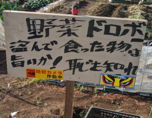 農作物をこんなに大胆に盗むなんて・・農家の悲痛の叫びを知って欲しい！