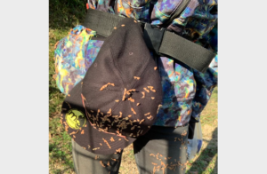 厄介なひっつき虫は◯◯で簡単除去！　その効果の高さが話題