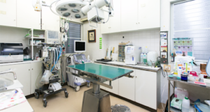 動物病院に行ったら心臓が止まりそうになった話。これはヤバイな・・