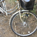 家に帰るため自転車を漕いでいたら、車を運転している人々から注目を浴びてしまった男性。→その理由に目玉飛び出す!(笑)