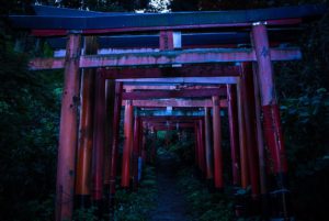 神隠しにあった友達を、七日七晩昼夜を問わず探し回った結果・・・その末路にゾッとした。