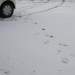 出勤したら駐車場が・・・寒さの影響でとんでもないことに!!「デイアフタートゥモローの世界。笑」