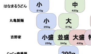 これを見ればひと目で分かる！人気チェーン店の『量の比較表』が目からウロコ！「CoCo壱おまえどうなってんだよ（笑）」