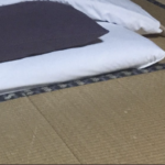 出張先のホテルの部屋に入ると『思いもよらぬ先客』が・・・え？！