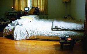 元気で特に体調不良もなく健康診断も正常。それなのに朝布団の中で冷たくなっている。→その原因に、言葉がない・・・