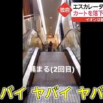 店内のエスカレーターから故意に買い物カートを落とす動画がSNSで拡散された事件。これを受けてイオンがとった行動にネットがざわついています・・・