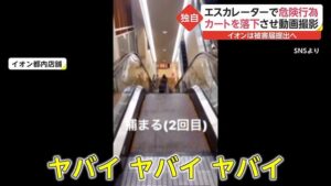 店内のエスカレーターから故意に買い物カートを落とす動画がSNSで拡散された事件。これを受けてイオンがとった行動にネットがざわついています・・・