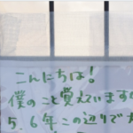 「僕のこと、覚えていますか？」フェンスに貼られた野良猫だった猫からのメッセージが・・・
