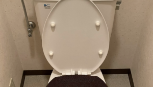 「便座カバーの種類間違えたせいでハードモードになった」見てみると・・・まじだ（笑）