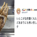 偶然が起こした奇跡の一枚!リアルすぎて凄い・・(笑)8選!