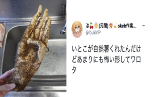 偶然が起こした奇跡の一枚！リアルすぎて凄い・・（笑）８選！