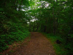 万が一、山で遭難してしまったら・・・警視庁が教える『ヘリコプターに気づいてもらう方法』が為になる！