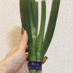 レジ袋を忘れた時の苦肉の策・・・『長ネギの運び方』が話題(笑)→天才?!