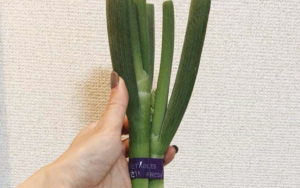 レジ袋を忘れた時の苦肉の策・・・『長ネギの運び方』が話題（笑）→天才？！