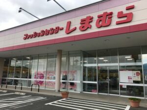 しまむらで見つけた『悪夢しか見られなさそうな枕』がこちらです・・・