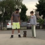 飼い主2人が、同時に反対方向に走って行ったら、、→愛犬が追いかけたのは?!