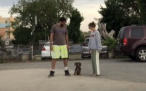 飼い主２人が、同時に反対方向に走って行ったら、、→愛犬が追いかけたのは？！