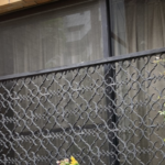 散歩してたら突然発狂した彼女。→視線の先にあったものは・・・ひぇぇええええ!