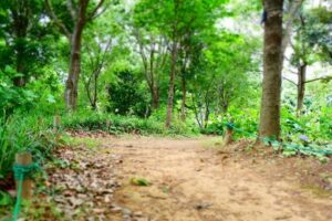 森から「オーイオーイ」と言っているおじさんの声がする。何事だろう・・と思っていたら・・・ひぇぇぇ。。