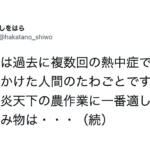 説得力が違う・・・経験者が語る『熱中症対策に大切なこと』7選