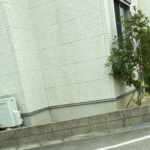 「サファリパークに来たのかと思った・・!」家をでると群れていたものとは・・?!