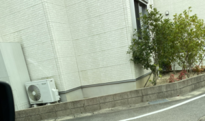 「サファリパークに来たのかと思った・・！」家をでると群れていたものとは・・？！