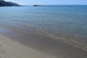 まじやめろよな！→海に落ちていたとんでもないものに「血の気が引いた」見てみたら・・・ぎぇぇええ