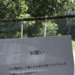 クワガタやカブトムシが大好きな7歳の孫のためにおじいちゃんが用意した張り紙が素敵すぎた・・
