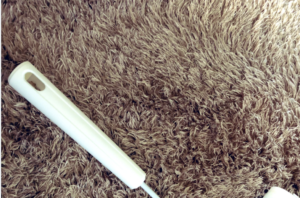 「なんで・・・」→コロコロで絨毯掃除をしていたら取れたものに悲鳴・・・（涙）