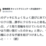 動物と人間の絆って・・・泣いちまったじゃねぇかエピソード8選