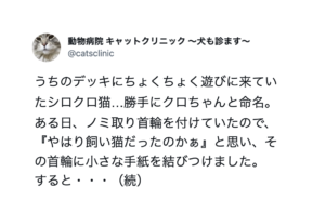 動物と人間の絆って・・・泣いちまったじゃねぇかエピソード８選
