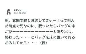 こんな事ある？！オチがやばすぎて完全に笑いの神降臨してるから聞いて（笑）８選