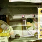 「ガチの悲鳴上げた」閉店した蕎麦屋の横を通ったら窓に・・・うわぁぁあああ!